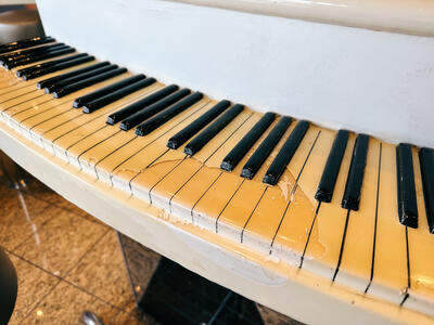 Carnival-Elation-Poor-Maintenance-Piano-Bar