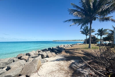 beach at Ocean Cay MSC Marine Reserve